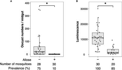 A rare sugar, allose, inhibits the development of Plasmodium parasites in the Anopheles mosquito independently of midgut microbiota